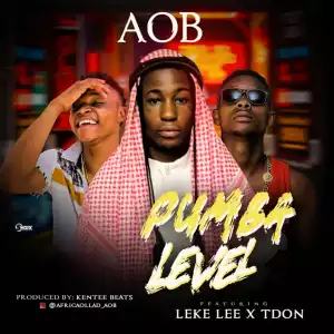 AOB - Pumba Level ft. Leke Lee & Tdon